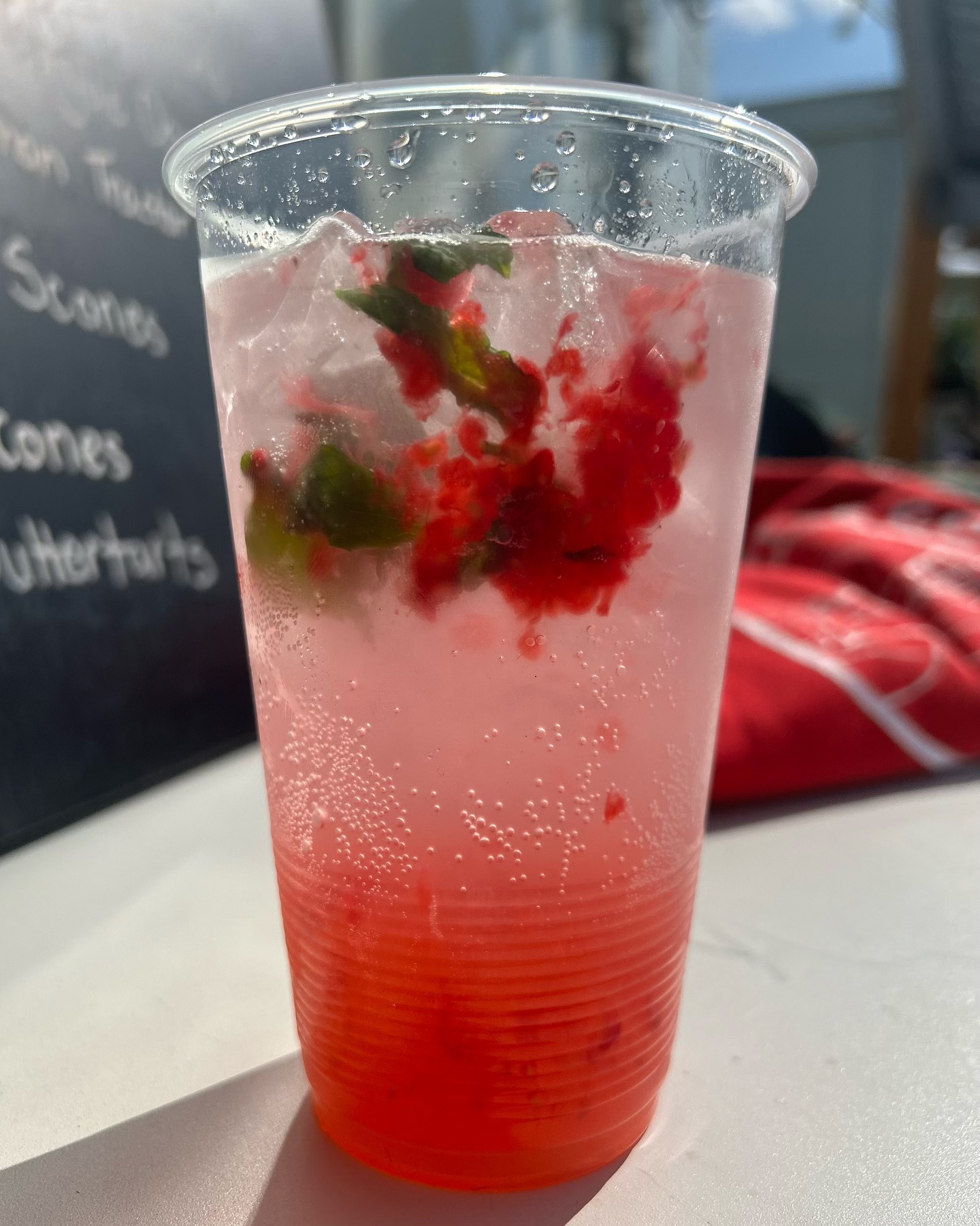 Canada Day 2024 Canadian pride